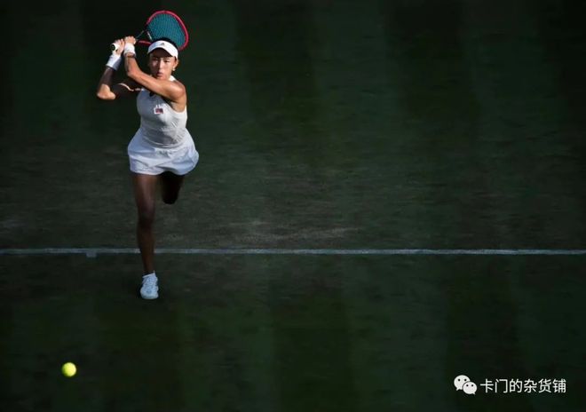 展示了他们 展示了他们