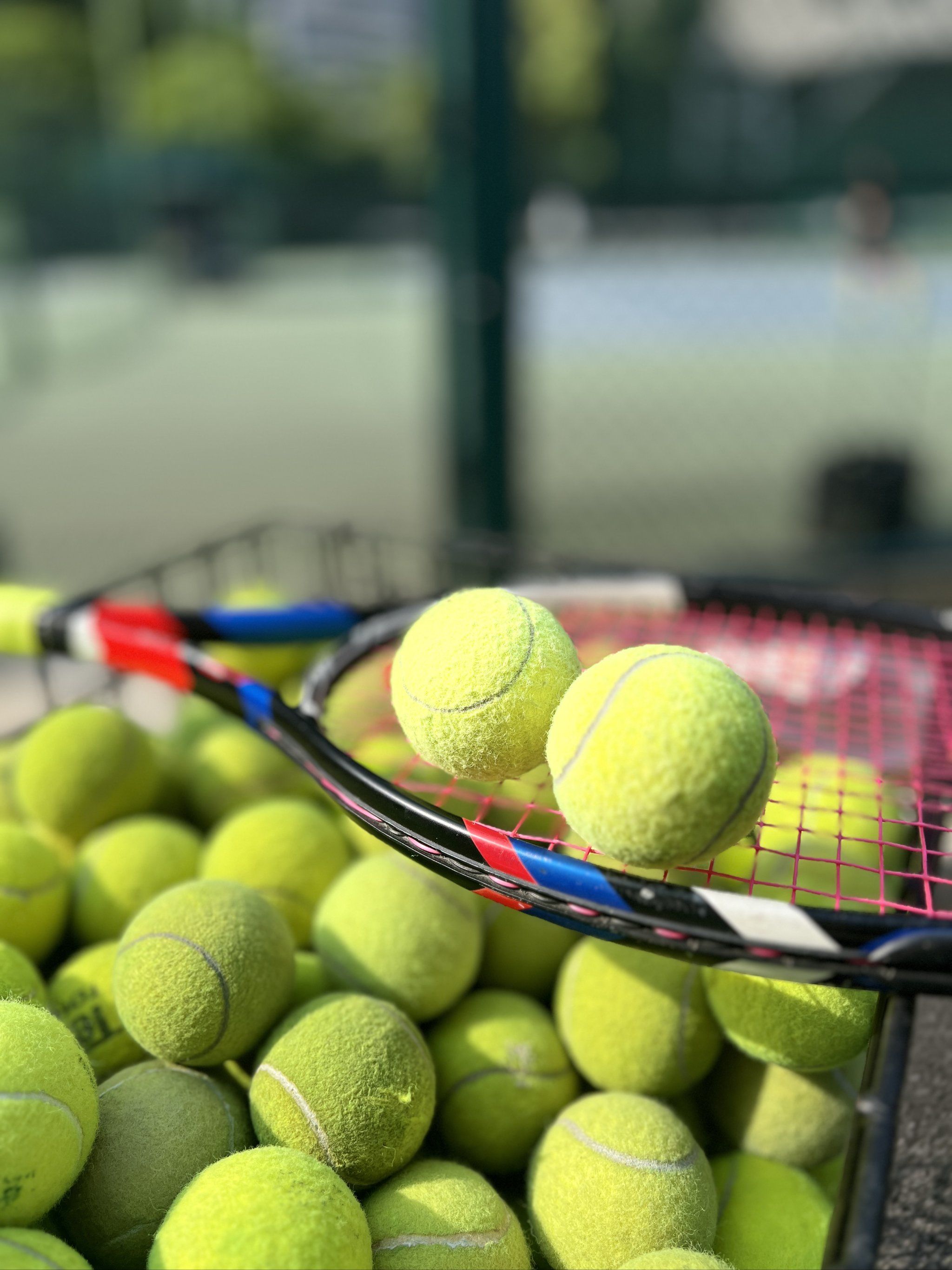 术能力上全 术能力上全